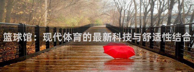 xc体育