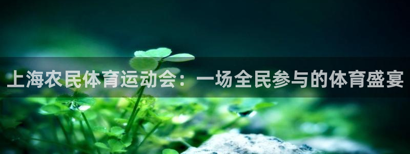 xc体育app官方网站