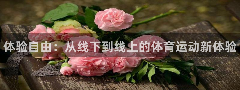 xc体育app官方网站：体验自由：从线下到线上的体育运动新体验