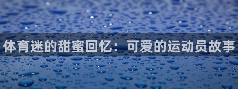 xc体育
