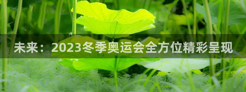 xc体育app官方网站：未来：2023冬季奥运会全方位精彩呈现