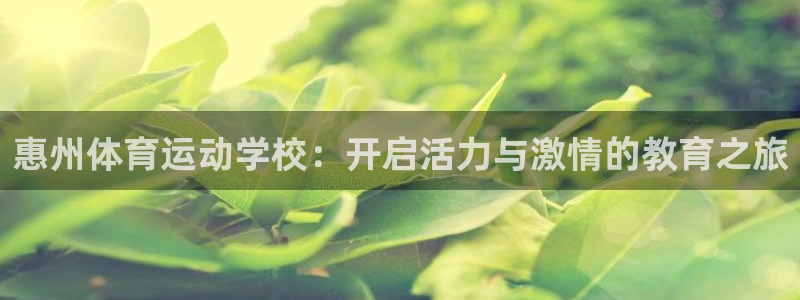 xc体育：惠州体育运动学校：开启活力与激情的教育之旅