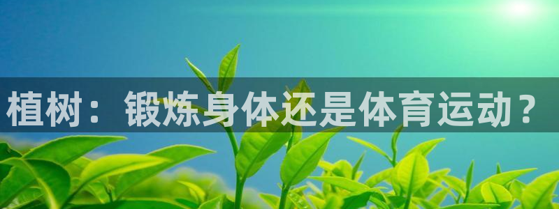 xc体育