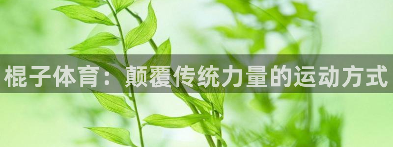 xc体育app官方网站