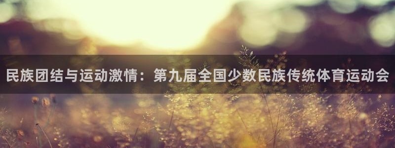 xc体育app官方网站：民族团结与运动激情：第九届全国少数民族传统体育运动会
