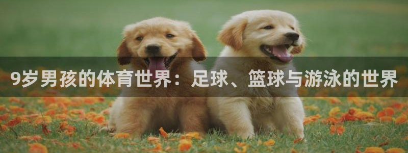 xc体育：9岁男孩的体育世界：足球、篮球与游泳的世界